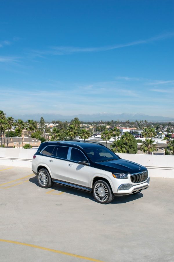 MERCEDES-MAYBACH GLS 600 (WHITE & BLACK) - Image 3